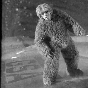 Meet your Posher, Casey